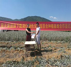 为全面推进安博电竞阳湖红绿色生态馆，打造龙城最大的绿色农产品供应基地。7月22日早晨，艳阳高照，安博电竞阳湖红绿色生态馆与宜兴百合种植八大家之一的潘氏百合种植基地合作，推进绿色农产品签约仪式在宜兴举行。安博电竞阳湖红绿色生态馆项目负责人黄贤萍、潘氏百合种植基地潘先生等有关负责人出席签约仪式，潘先生的百合种植基地也正式成为安博电竞集团阳湖红生态百合种植基地！